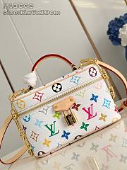 Colestore Louis Vuitton Vanity Chain Pouch 19x11.5x6.5CM - 5