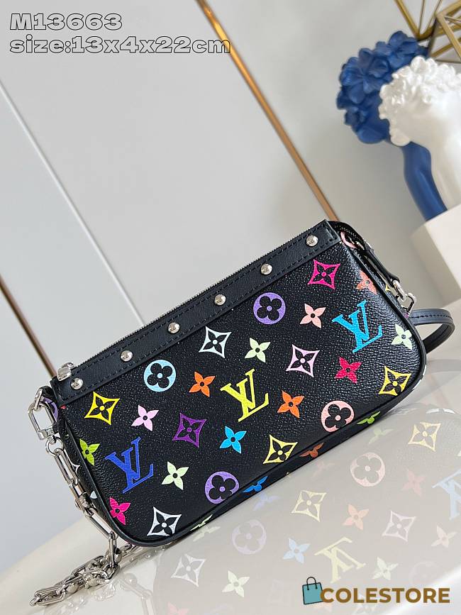 Colestore Louis Vuitton Pochette Accessoires LV 22x13x4CM - 1