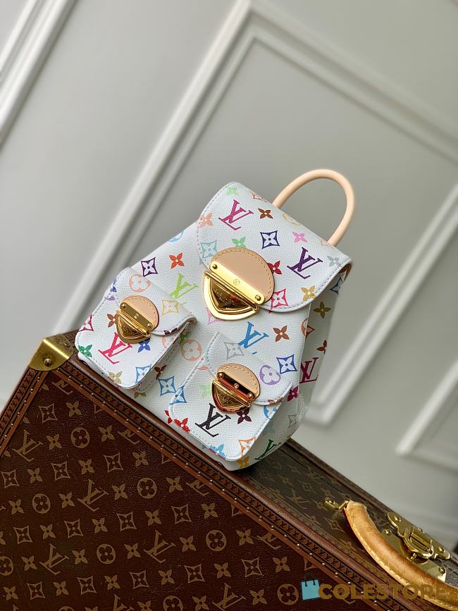 Colestore Louis Vuitton Venice Other Monogram 24x26x7CM - 1