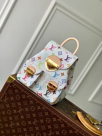Colestore Louis Vuitton Venice Other Monogram 24x26x7CM