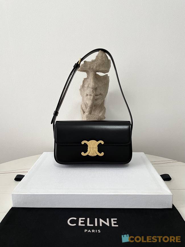 Colestore Celine Triomphe size 20x10x4cm - 1