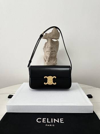 Colestore Celine Triomphe size 20x10x4cm