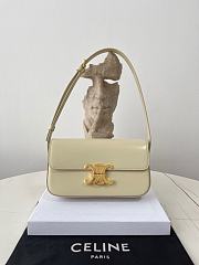 Colestore Celine Triomphe size 20x10x4cm - 2