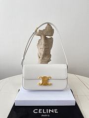 Colestore Celine Triomphe size 20x10x4cm - 4