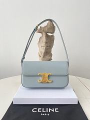 Colestore Celine Triomphe size 20x10x4cm - 5