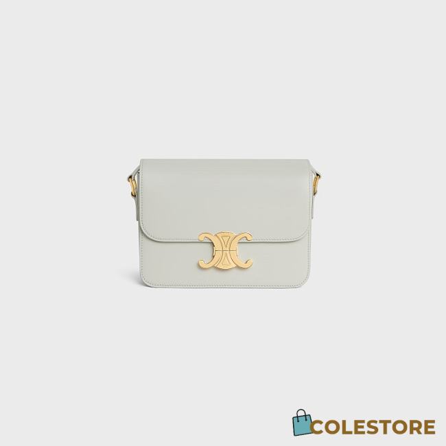 Colestore Celine Teen Triomphe Bag In Shiny Calfskin 22.5x16.5x7.5CM - 1