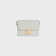 Colestore Celine Teen Triomphe Bag In Shiny Calfskin 22.5x16.5x7.5CM - 1