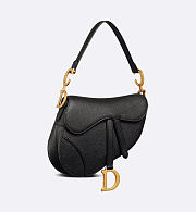 Colestore Dior Saddle Bag With Strap 'Sand Colored' Size 25CM - 3
