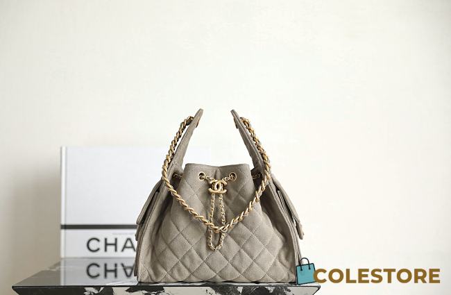 Colestore Chanel 25C Hobo Dua Lipa Handbag Organizer 30x26x14 - 1
