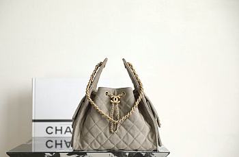 Colestore Chanel 25C Hobo Dua Lipa Handbag Organizer 30x26x14