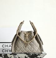 Colestore Chanel 25C Hobo Dua Lipa Handbag Organizer 30x26x14 - 3