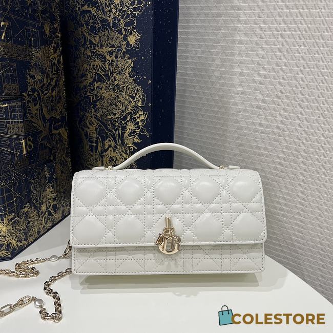 Colestore Dior Mini Bag Cannage Lambskin 21x11x5CM - 1