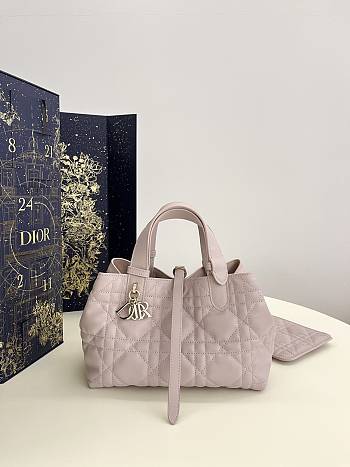 Colestore Dior Toujours Pink Bag 23x15x15CM