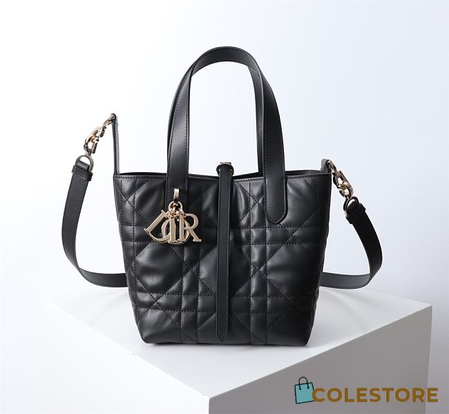 Colestore Dior Toujours Vertical Tote Bag Black 16×18×12Cm - 1
