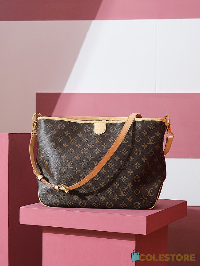 Colestore Louis Vuitton Delightful Handbag In Brown Monogram 46x30x13CM - 1