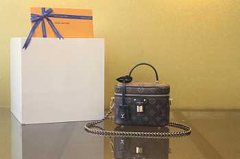 Colestore Louis Vuitton Vanity Chain Pouch 19x13CM