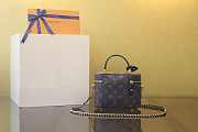 Colestore Louis Vuitton Vanity Chain Pouch 19x13CM - 6