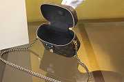 Colestore Louis Vuitton Vanity Chain Pouch 19x13CM - 5