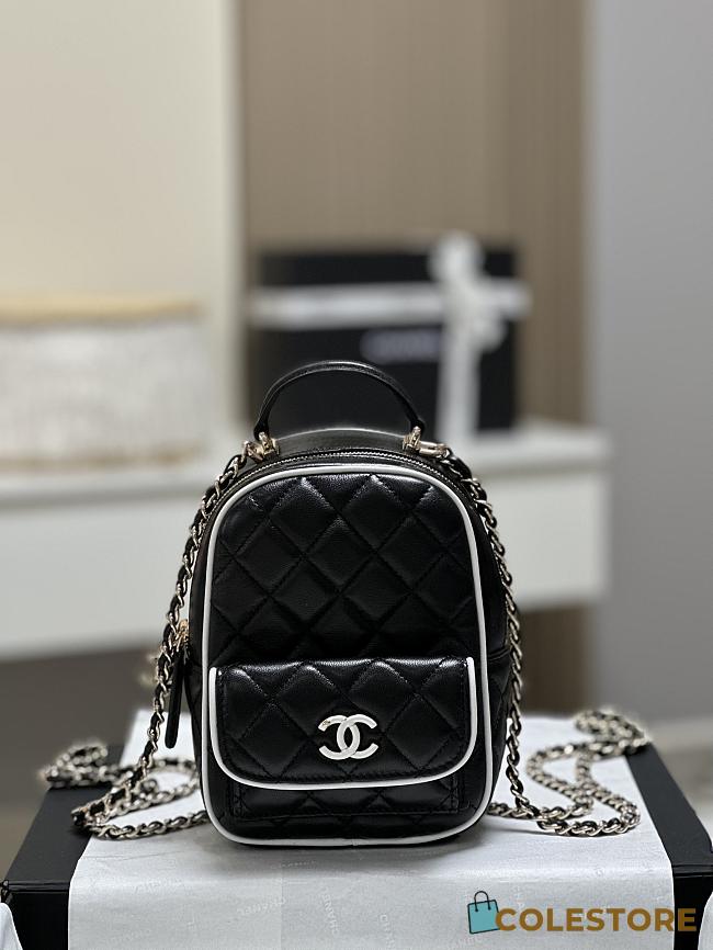 Colestore Chanel 25P Nano Bag 18x13x9CM - 1