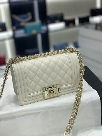 Colestore Chanel Leboy Caviar White size 20CM