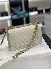 Colestore Chanel Leboy Caviar White size 20CM - 6