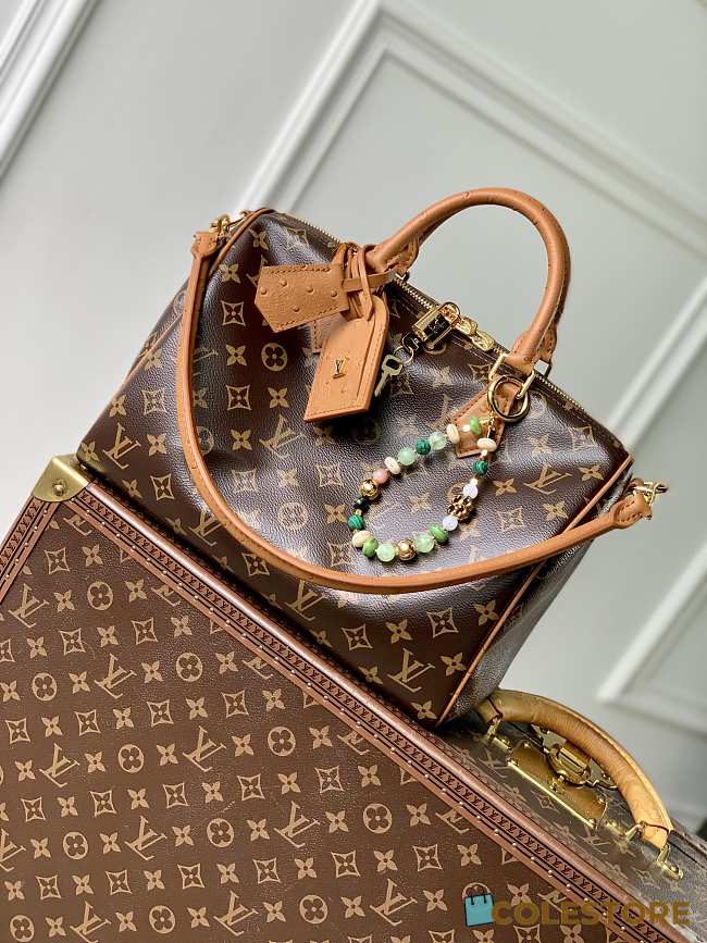 Colestore Louis Vuitton Speedy Soft 30 Boho 30x21x17cm - 1
