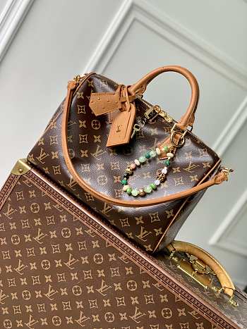 Colestore Louis Vuitton Speedy Soft 30 Boho 30x21x17cm