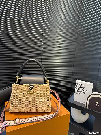 Colestore Louis Vuitton Capucines BB 19x25cm