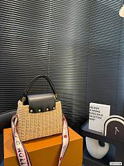 Colestore Louis Vuitton Capucines BB 19x25cm - 5