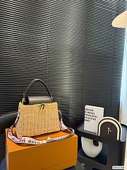 Colestore Louis Vuitton Capucines BB 19x25cm - 3