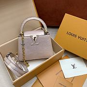 Colestore Louis Vuitton Capucines Mini 21x14x8cm - 1