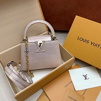 Colestore Louis Vuitton Capucines Mini 21x14x8cm
