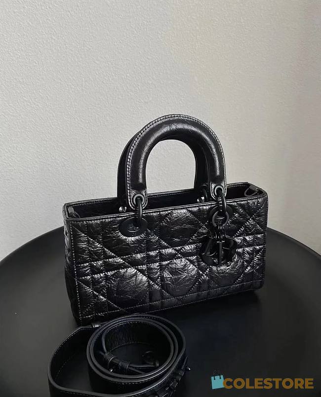 Colestore Dior Small Lady D-Sire My ABCDior Black 26x15x8cm - 1