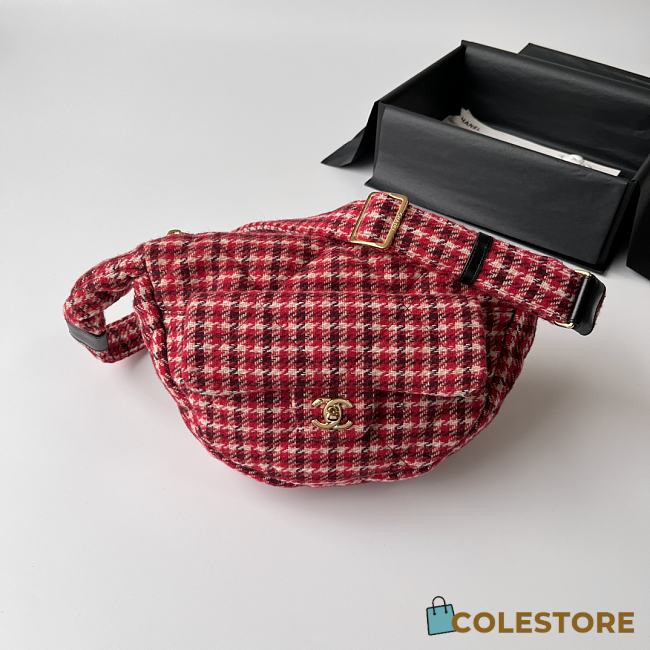 Colestore Chanel Coco Neige Hobo in Tweed 18x30x8cm - 1