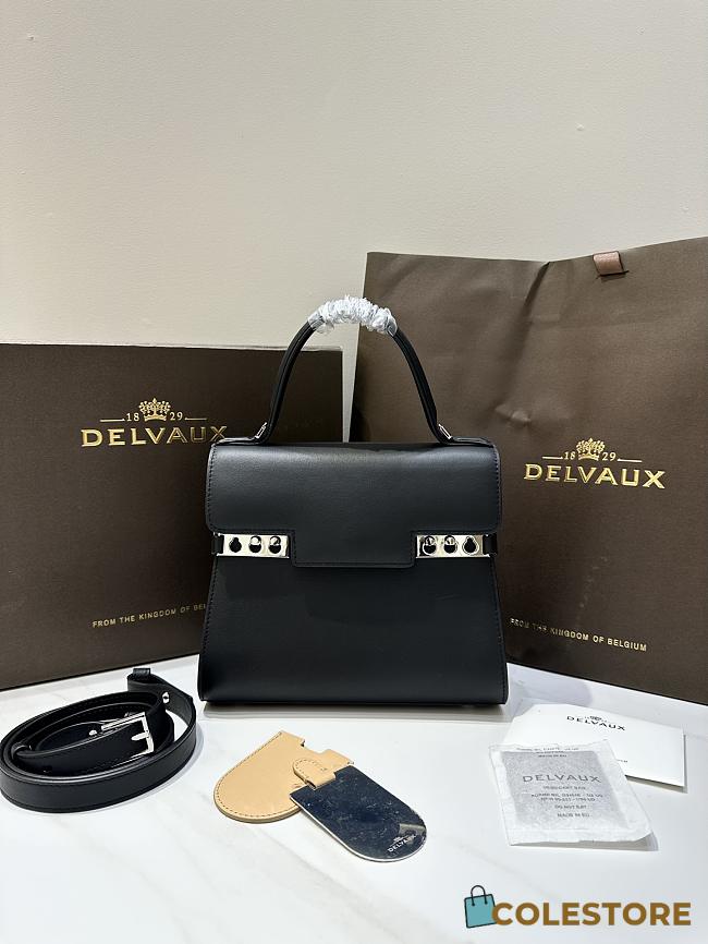 Colestore Delvaux Tempete PM Swift 21.5x19x10cm - 1