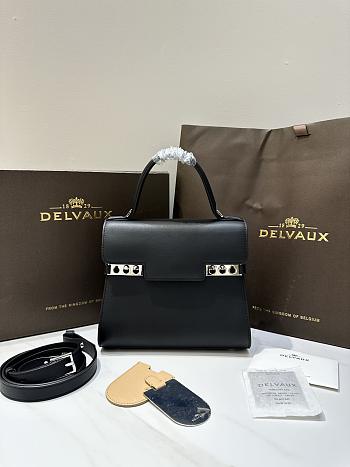 Colestore Delvaux Tempete PM Swift 21.5x19x10cm