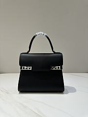 Colestore Delvaux Tempete PM Swift 21.5x19x10cm - 4
