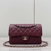 Colestore Chanel CF Classic Flap bag Gold Hardware 20x13x7cm - 1