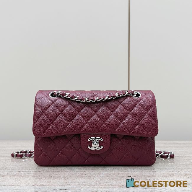 Colestore Chanel CF Classic Flap bag Sliver Hardware 20x13x7cm - 1