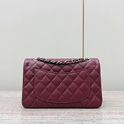 Colestore Chanel CF Classic Flap bag Sliver Hardware 20x13x7cm - 5