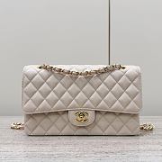 Colestore Chanel CF25 Classic Flap bag Gold Hardware 25x15.5x6cm - 1