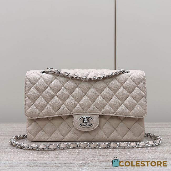 Colestore Chanel CF25 Classic Flap bag Sliver Hardware 25x15.5x6cm - 1