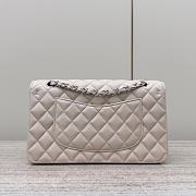 Colestore Chanel CF25 Classic Flap bag Sliver Hardware 25x15.5x6cm - 3