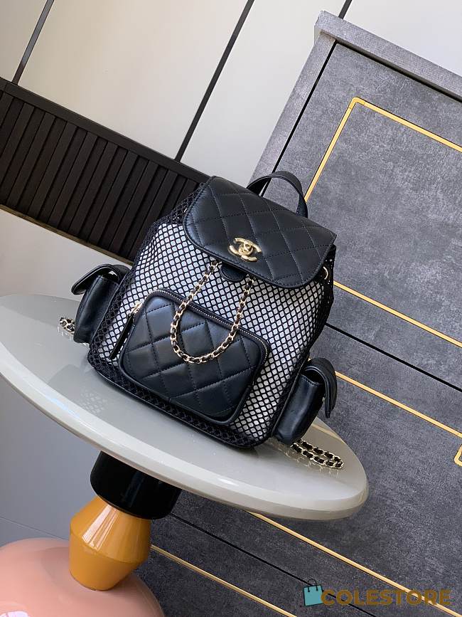 Colestore Chanel Backpack Mesh, Shiny Lambskin & Gold-Tone Metal Black 25x23x13cm - 1