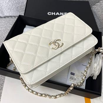 Colestore Chanel 23P Woc Gold Hardware 19.2x12.3x3.5cm