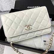Colestore Chanel 23P Woc Gold Hardware 19.2x12.3x3.5cm - 3