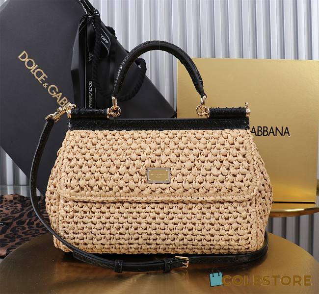 Colestore Dolce & Gabbana Elongated Sicily 25x17x9cm - 1