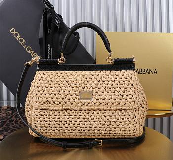 Colestore Dolce & Gabbana Elongated Sicily 25x17x9cm