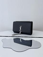 Colestore Kate Medium Tassel In Grain De Poudre Embossed Leather Sliver Hardware 24x14.5x5.5cm - 4
