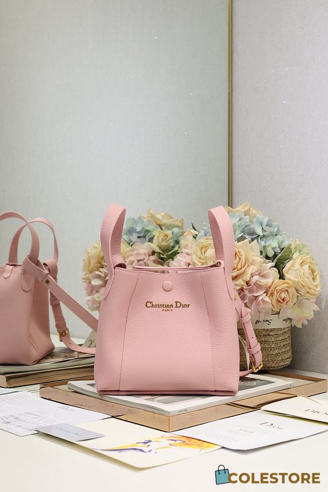 Colestore Dior Signature Bucket Bag in Pink  21×19×11cm - 1